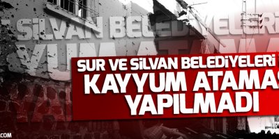 Diyarbakır Valisi: Sur ve Silvan belediyeleri için kayyum ataması yapılmadı