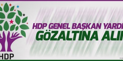 HDP Genel Başkan Yardımcısı gözaltına alındı