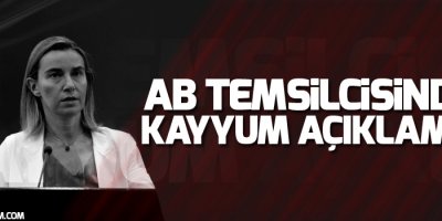 AB temsilcisinden kayyum açıklaması