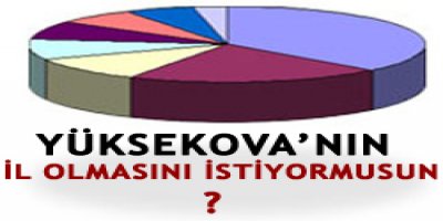 Yüksekova İl Olsun'mu?