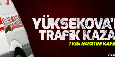 Yüksekova'da kaza, 1 kişi hayatını kaybetti