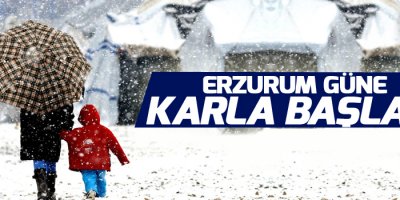 Erzurum kent merkezine mevsimin ilk karı yağdı
