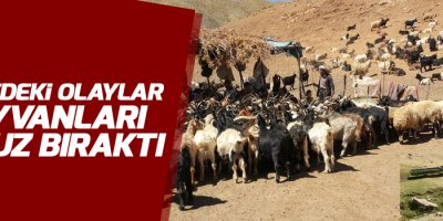 Bölgedeki olaylar hayvanları susuz bıraktı