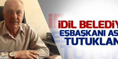 İdil Belediyesi Eş Başkanı Aslan tutuklandı
