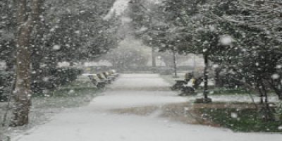 Diyarbakır'da kar baskını!