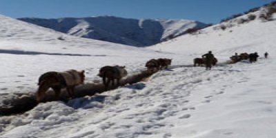 Roboski'de kaçak yaşam devam ediyor!