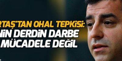 Demirtaş'tan OHAL tepkisi: Senin derdin darbe ile mücadele değil