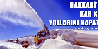 Hakkari'de kar köy yollarını kapattı