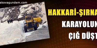 Hakkari-Şırnak karayoluna çığ düştü