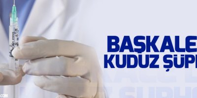 Başkale’de kuduz şüphesi: 12 kişi tedaviye alındı