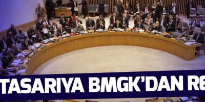 Rusya'nın barış tasarısına BMGK'dan ret