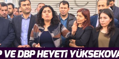 HDP ve DBP heyeti Yüksekova'da