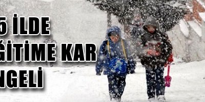 25 ilde okullar tatil edildi