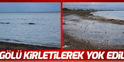 Van Gölü yok oluyor