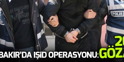 Diyarbakır’da IŞİD operasyonu: 20 gözaltı