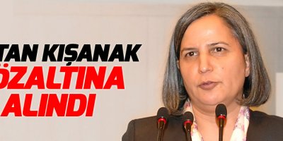 Gültan Kışanak gözaltına alındı