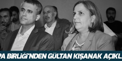 Avrupa Birliği'nden Gültan Kışanak açıklaması