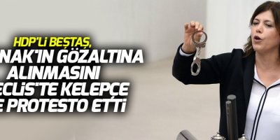 HDP'li Meral Bektaş'tan Meclis'te protesto