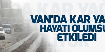 Van'da kar yağışı hayatı olumsuz etkiledi