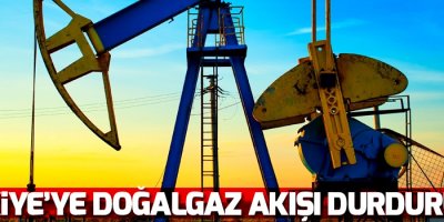 İran Türkiye'ye doğalgaz akışını kesti