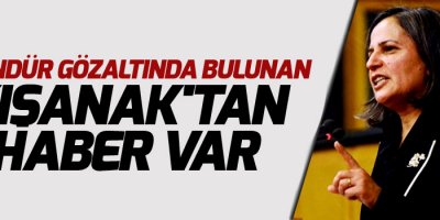 4 gündür gözaltında bulunan Kışanak'tan haber var