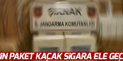 130 bin paket kaçak sigara ele geçirildi