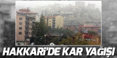 Hakkari'de kar yağışı