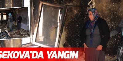 Yüksekova'da korkutan yangın