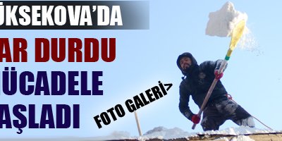 Yüksekova'da Karla Mücadele