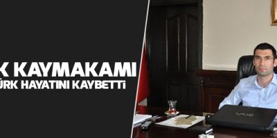 Derik Kaymakamı Safitürk Hayatını Kaybetti