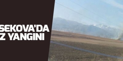 Yüksekova'da anız yangını