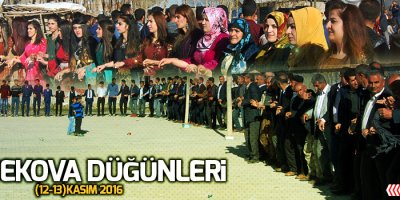 Yüksekova Düğünleri (12-13) Kasım 2016