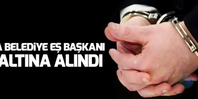 Van'da Belediye Eş Başkanı Gözaltına Alındı