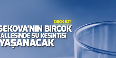 Yüksekova'nın birçok mahallesinde su kesintisi yaşanacak