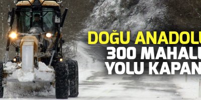 Kar yağışı hayatı olumsuz etkiledi