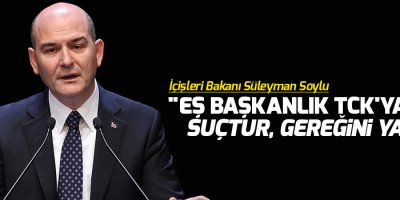 'Eş başkanlık TCK'ya göre suçtur, gereğini yapın'