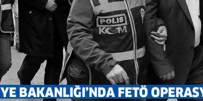 Maliye Bakanlığı'nda 'FETÖ' operasyonu: 56 gözaltı