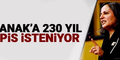 Kışanak’a 230 yıl hapis isteniyor