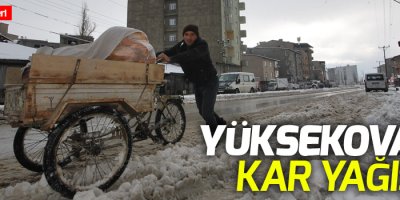 Yüksekova'da Kar Yağışı