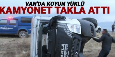 Van'da koyun yüklü kamyonet takla attı