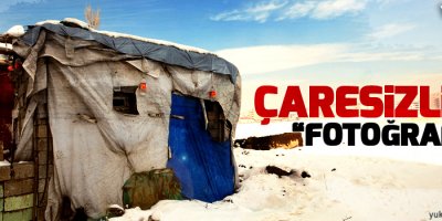 Yüksekova'da çaresizliği fotoğrafı