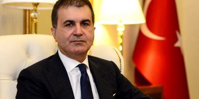 Çelik: AP kararı vizyonsuzluk