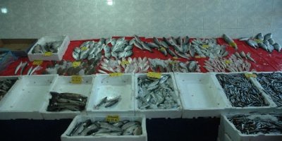 Van’da balık tezgahları boş kaldı