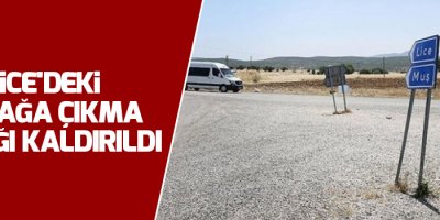 Lice'deki sokağa çıkma yasağı kaldırıldı