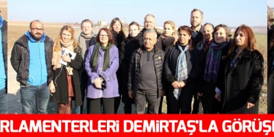 AP Parlamenterleri Demirtaş'la görüşemedi!