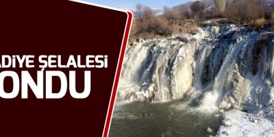 Van’da şelale dondu!