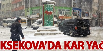 Yüksekova'da kar yağışı