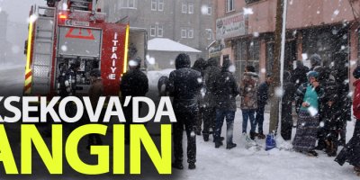 Yüksekova'da ev yangını