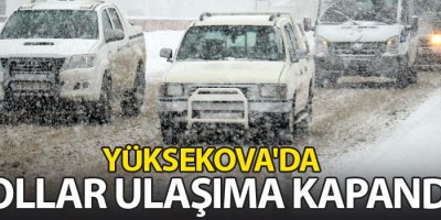 Yüksekova'da kar yağışı hayatı felç etti: Yollar ulaşıma kapandı
