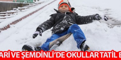 Hakkari ve Şemdinli'de okullar tatil edildi